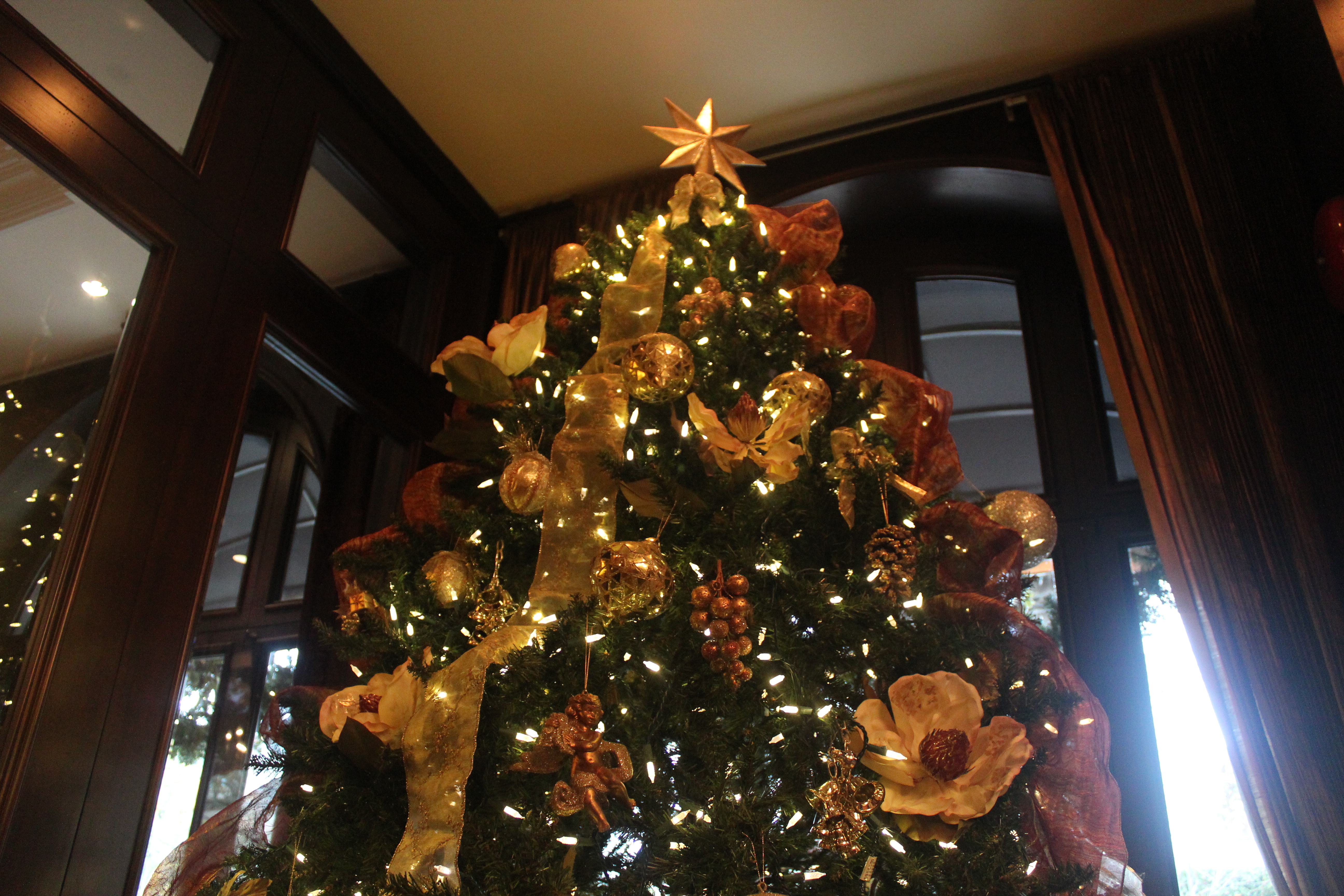 Christmas Tree at the Wedgewood Hotel & Spa | © Jackie Draft