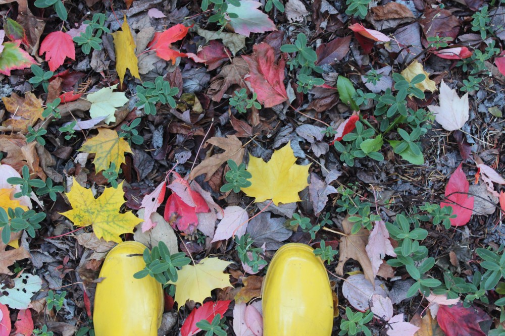 It's a Match! |  © Jackie Draft  