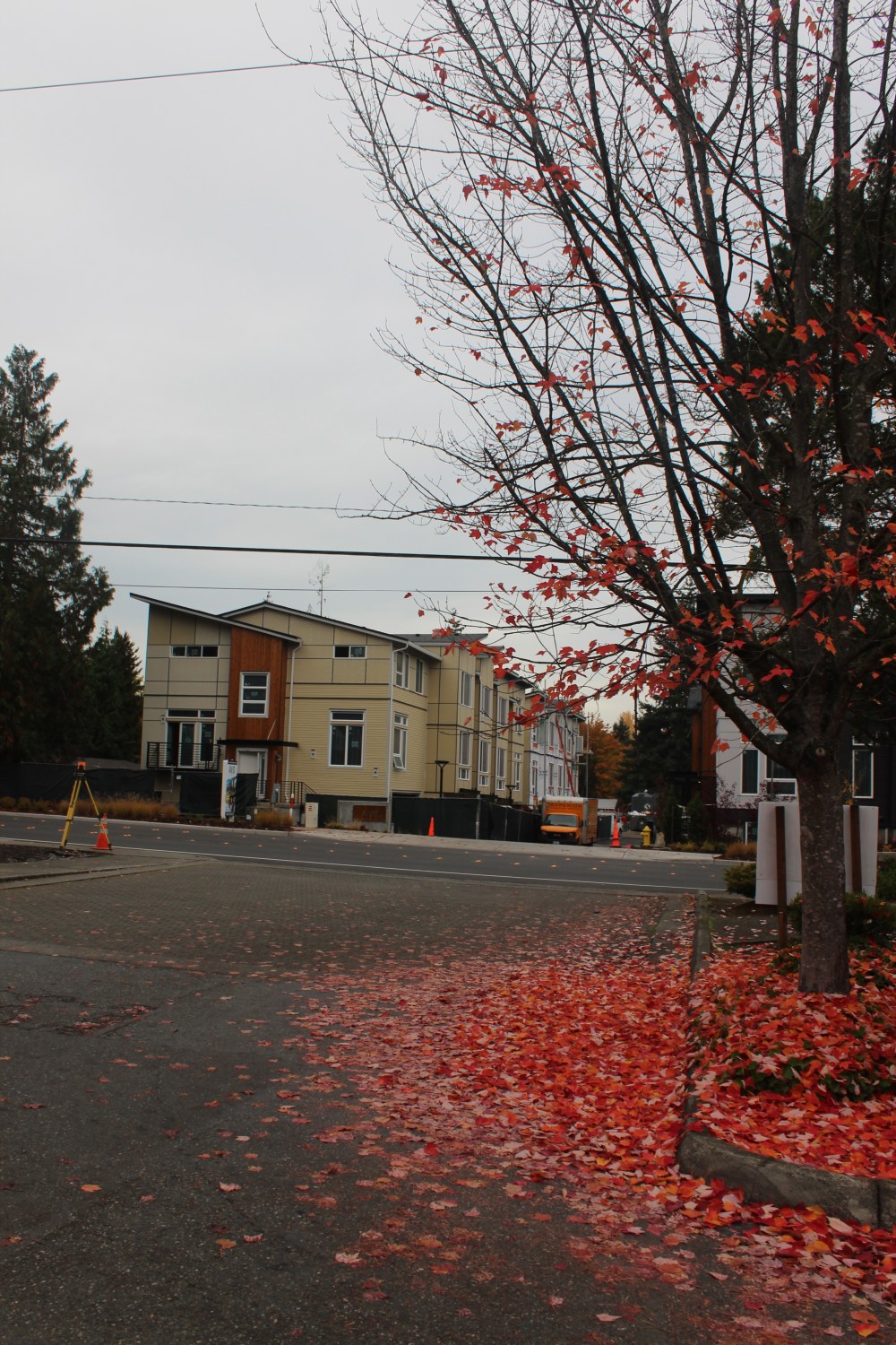 Dear Winter: Bring It | © Jackie Draft